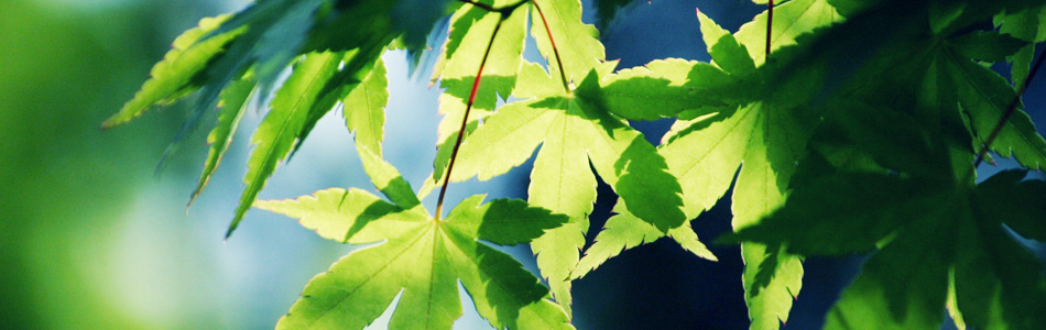 丸文運輸イメージ